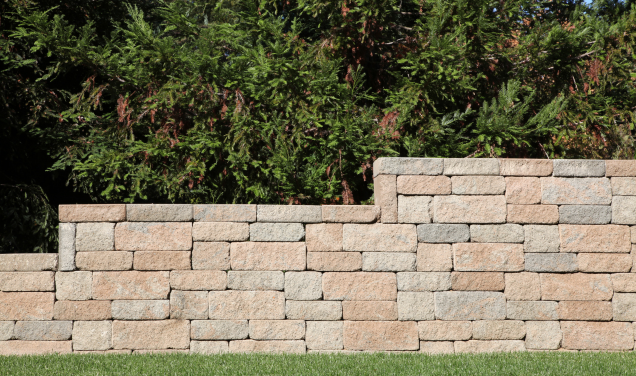 Segmental Block